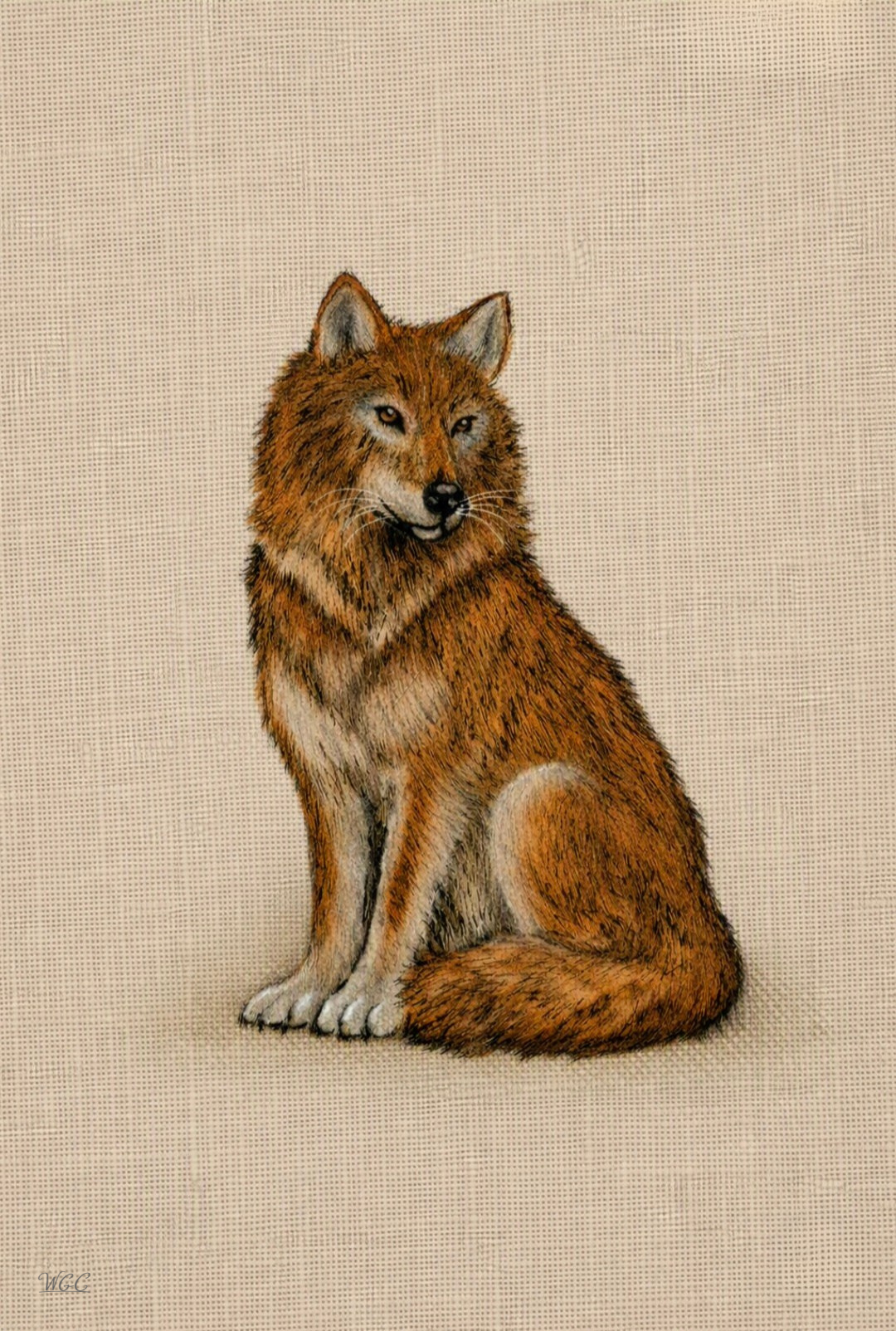 Red Wolf